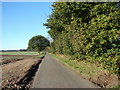 Country road with passing places. in PE37 8BP
