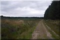 Track in Blackhill Wood in KY13 0LW