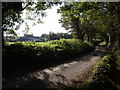 Lane past Coombshead Farm in PL15 7QQ