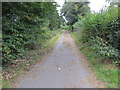 Lidget Lane leaving Coneythorpe in Coneythorpe and Clareton