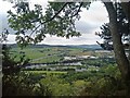 View from lower slopes of Kinnoull Hill, Perth in PH2 7BB