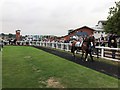 Leicester Racecourse - Sexy Secret in the parade ring in LE2 2TU