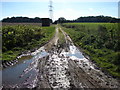 Farm track and footpath near West Acre in PE32 1UA