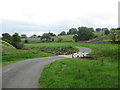 Ford on Dale Beck west of Great Asby in CA16 6HB