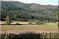 Farmland and forest in Strathyre in FK18 8ND
