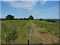 Fenceline on the summit of Adzor Bank in HR4 8AP