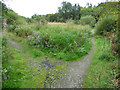 Footpaths at Linwood Moss in PA3 3TQ