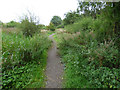 Footpath at Linwood Moss in PA3 3TQ