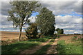 Farm Track near Culvert's Farm in CM3 3DS