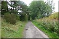 Lanchester Valley Railway Path in DH7 0HE