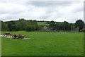 Lanchester Cricket Club in DH7 0RD