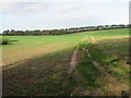 Footpath across the field to Venson Bottom in CT14 0FH