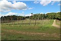 Hop field by Seale Lane in GU3 1AY
