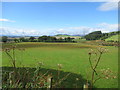 Beautiful farmland south of the Angus hills  in DD8 3QZ
