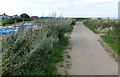 Path at Hartley Links, Seaton Sluice in NE26 4JW