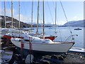 Wintery boats at Ullapool in Ullapool