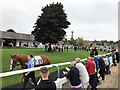 Leicester Racecourse - The parade ring in LE2 2TU