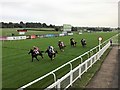 Leicester Racecourse - A close finish in LE2 5HS