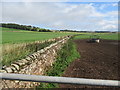 Barbed-wire-topped dyke near Balmadity, Brechin in DD9 6SE