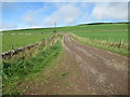 Track out of Balmadity near Brechin in DD9 6SE