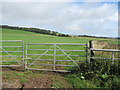 Pasture on Balmadity near Brechin in DD9 6SE