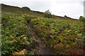 Path to the top of Royd Edge in HD9 4NA