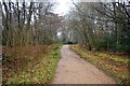 Centenary Walk, Epping Forest in IG10 1LP