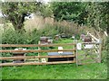 Apiary, near Ellicombe in TA24 6TR