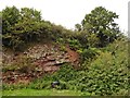 Ellenborough Quarry (disused) in TA24 6TR
