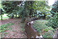 Stream by the Astrop road in OX17 3QQ