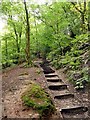 Stepped path in Alderley Edge woodland in SK9 7JA