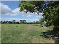 Field on the western side of the Weir Bridge in DT10 1DF