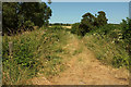 Track from Langford Road in Great Wishford