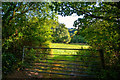 Mid Devon : Grassy Field & Gate in EX6 6HG