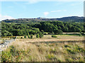 Roughly vegetated land near to Dolgellau in Dolgellau Community