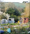 Allotments by the Maritime Line in TR10 9AX