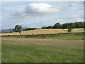 Farmland at Longfaugh in EH37 5SL