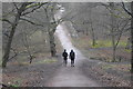 Centenary Walk, Epping Forest in IG10 2SB