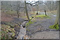Woodland stream, Epping Forest in IG10 2NY