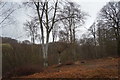 Furze Ground, Epping Forest in IG10 2SB