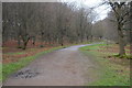 Centenary Walk, Epping Forest in CM16 7DR