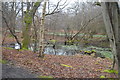 Small pond, Epping Forest in CM16 7DR