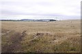 Stubble near Greenhillock in DD8 2NL