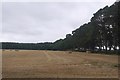 Stubble near East Mains in DD8 2LS