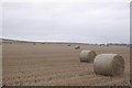 Stubble and round bales, Crosston in DD8 2NZ