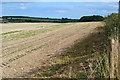 Bare field beside the road to Pitton in SP5 1SN