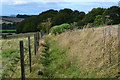 Footpath north from All Saints' church, Winterslow in SP5 1SX
