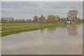 River Tone (in spate) in TA7 0SE