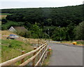 Wooded hillside above Deri in CF81 9HW