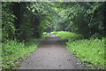 Track in Warren Wood in Loughton Forest Ward